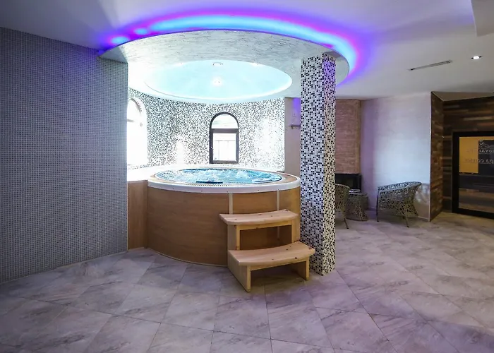 Royal Valentina Castle Bed & Breakfast Ognyanovo (Blagoevgrad)